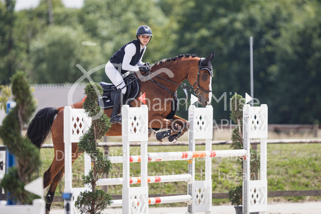 250629_PfSpTa_L-Spr2-406 | Deine schönsten Turniermomente als professionelle Fotos! Entdecke hochwertige Pferdesport-Fotografie im Online-Shop. Jetzt Fotos finden & bestellen!