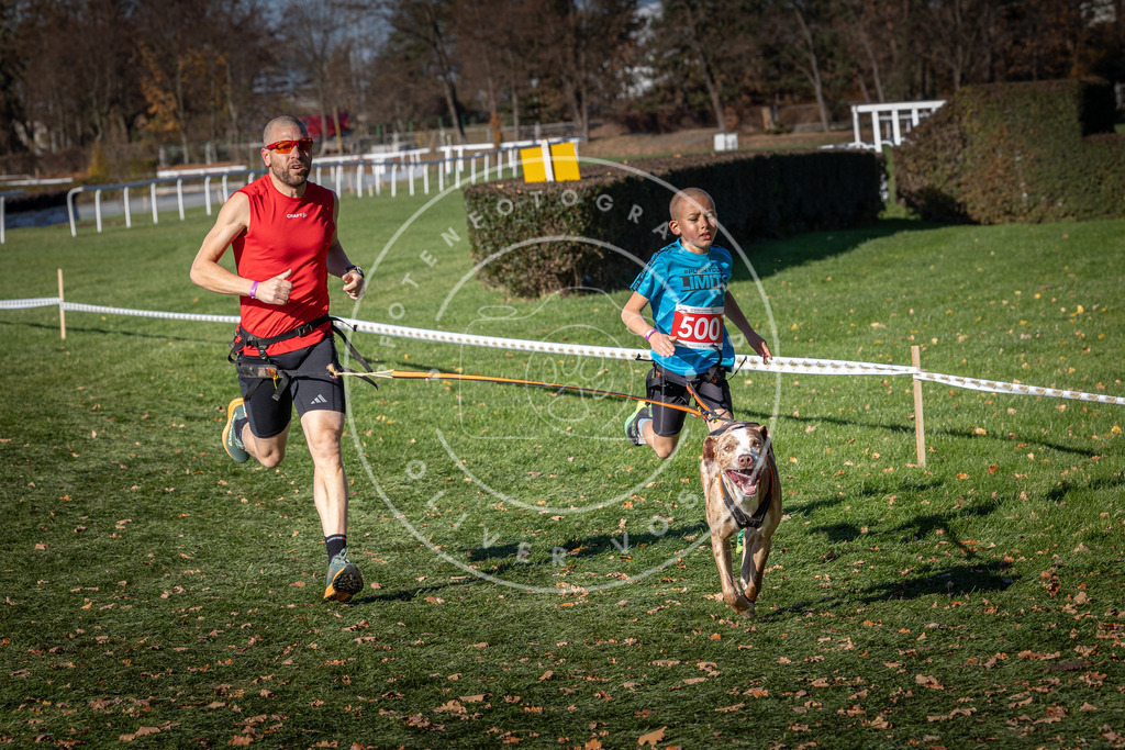 CaniXpix_0L8A6584 | Hundefotografie, Tierfotograf, Pfotenfotografie, Fotoshooting Hund, Hunde Portrait, Hundesport, Hundeportraits, Heideshooting, Hunde, Sportfotograf, Hundefotograf, Turnierhundsport, THS,  - Realisiert mit Pictrs.com