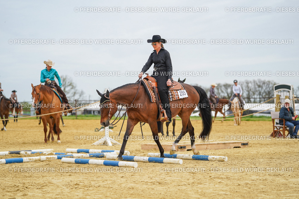 DSC03021 | Pferdegrafie