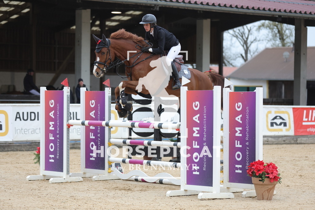 0P6A3132 | Willkommen bei Brunnmayr - Design & Fotografie – Ihrem Spezialisten für Reitturniere und Pferdeveranstaltungen in Oberösterreich, Salzburg und Bayern! Seit über 17 Jahren sind wir leidenschaftlich dabei.