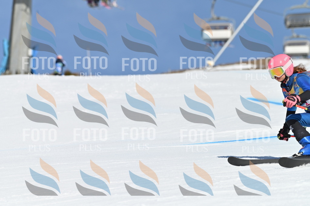 BGV_8231 | holidayphoto