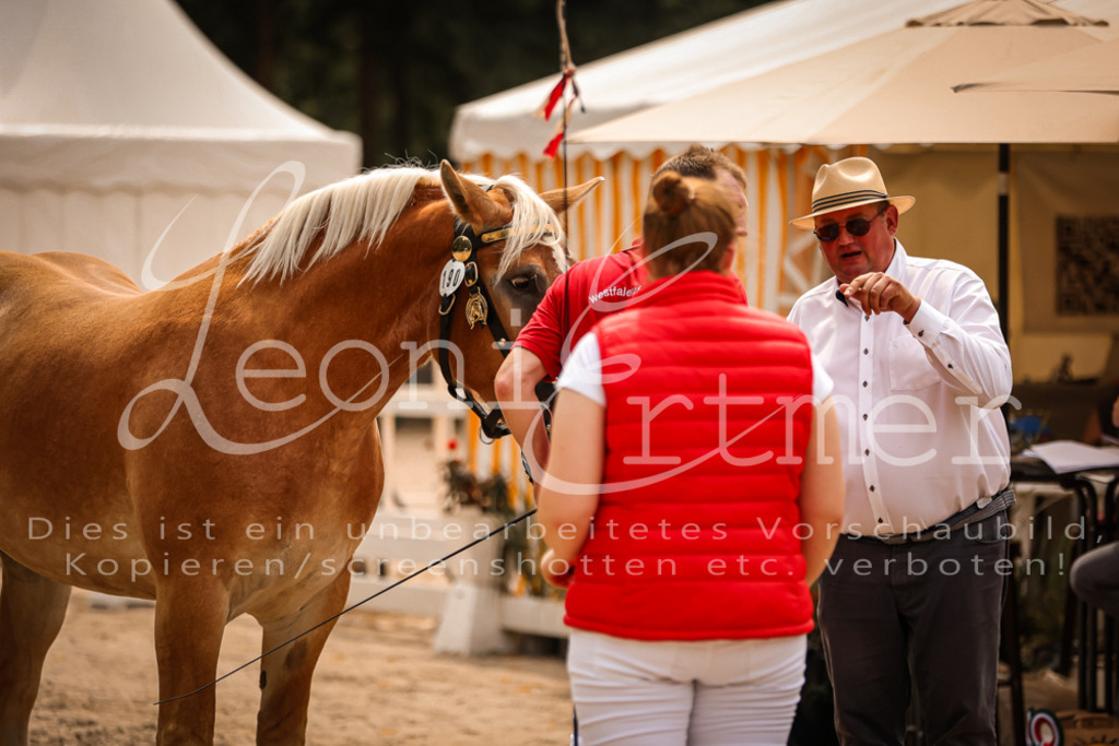 3.Sa00092 | Leoni Ertmer Photography - Realisiert mit Pictrs.com