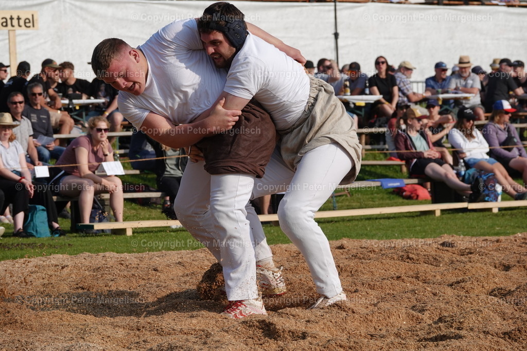 DSC04449 | Schwingen - Realisiert mit Pictrs.com
