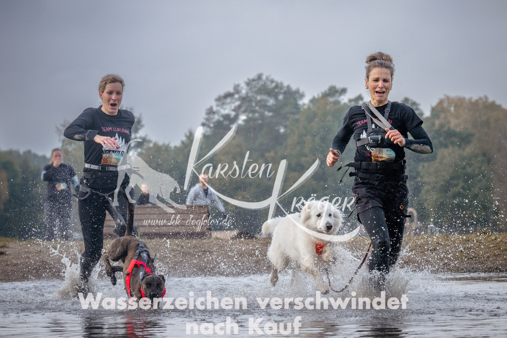 1138_ZZ95696 | kk-dogfotos