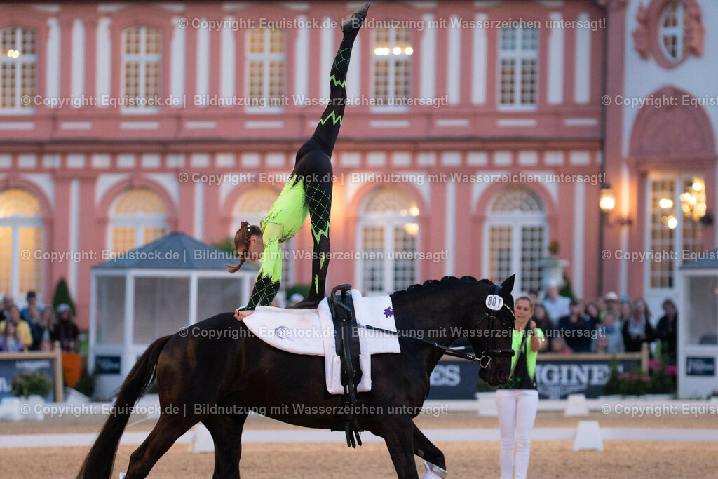 20230527_Voltigieren_NASPA_Flutlicht_0389 | equistock