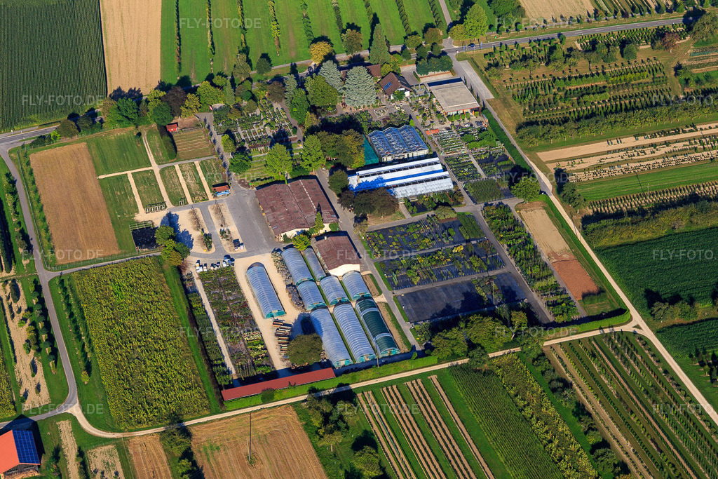 Luftbild: AMMANN Gartenkultur GmbH Baumschule in Steißlingen im Bundesland Baden-Württemberg in Deutschland. – Foto: IMG_094277.jpg vom 27.08.2016 durch Werner Riehm/FLY-FOTO.de – Auflösung des Originals: 5472 x 3648 px – Baumschule Ammann - ein Treffpunkt für Gartengenießer