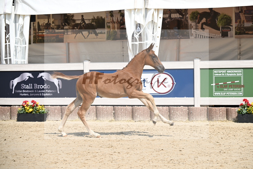 Arezzo Man x Celentano_HF_Moldvai_12250444 | hf-fotografie - Realizzato con Pictrs.com