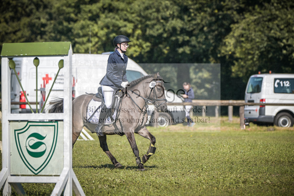 DOS_0126 | Entdecke hochwertige Reitturnierfotos von Foto Oger. Professionell, emotional und authentisch – jetzt Lieblingsmomente im Shop bestellen.Deutschlandweite Turnierfotografie. - Realisiert mit Pictrs.com