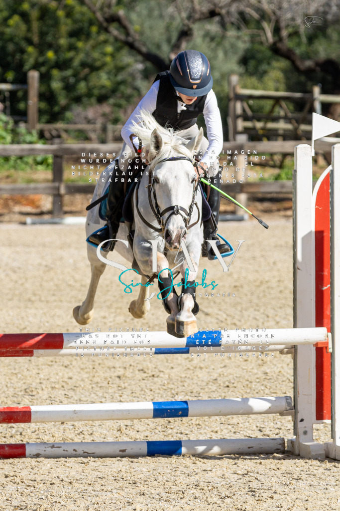 IMG_3662 | s-jay-photography - Realisiert mit Pictrs.com