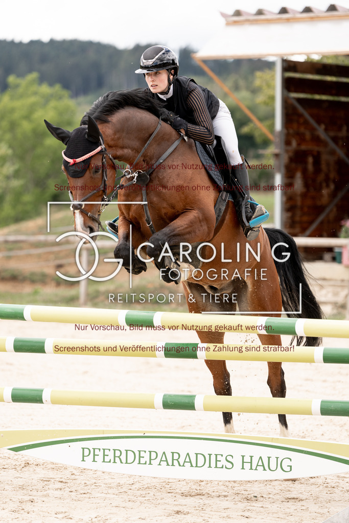DSC06436 | Springturnier_Teamchallege_Talheim_2026, Lara-Sophie_Strohm, Champ_Charming