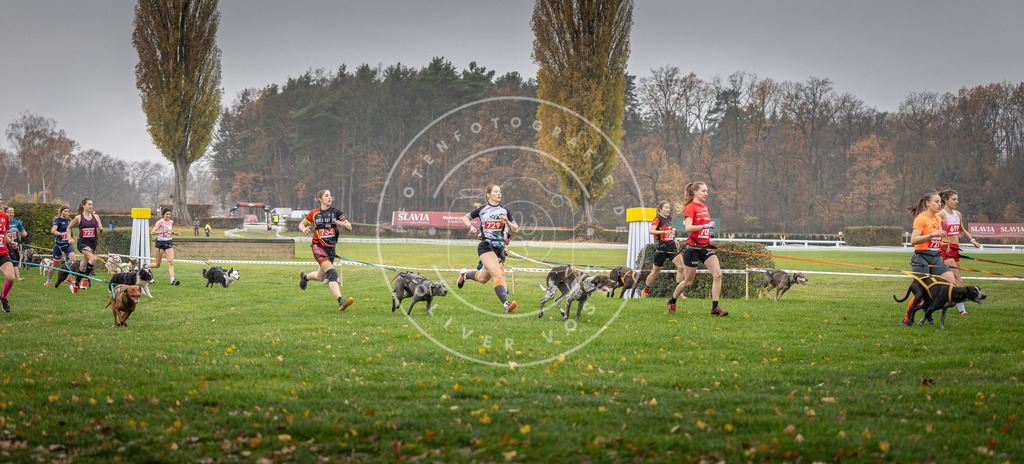 CaniXpix_DV3A8817 | Hundefotografie, Tierfotograf, Pfotenfotografie, Fotoshooting Hund, Hunde Portrait, Hundesport, Hundeportraits, Heideshooting, Hunde, Sportfotograf, Hundefotograf, Turnierhundsport, THS,  - Realisiert mit Pictrs.com
