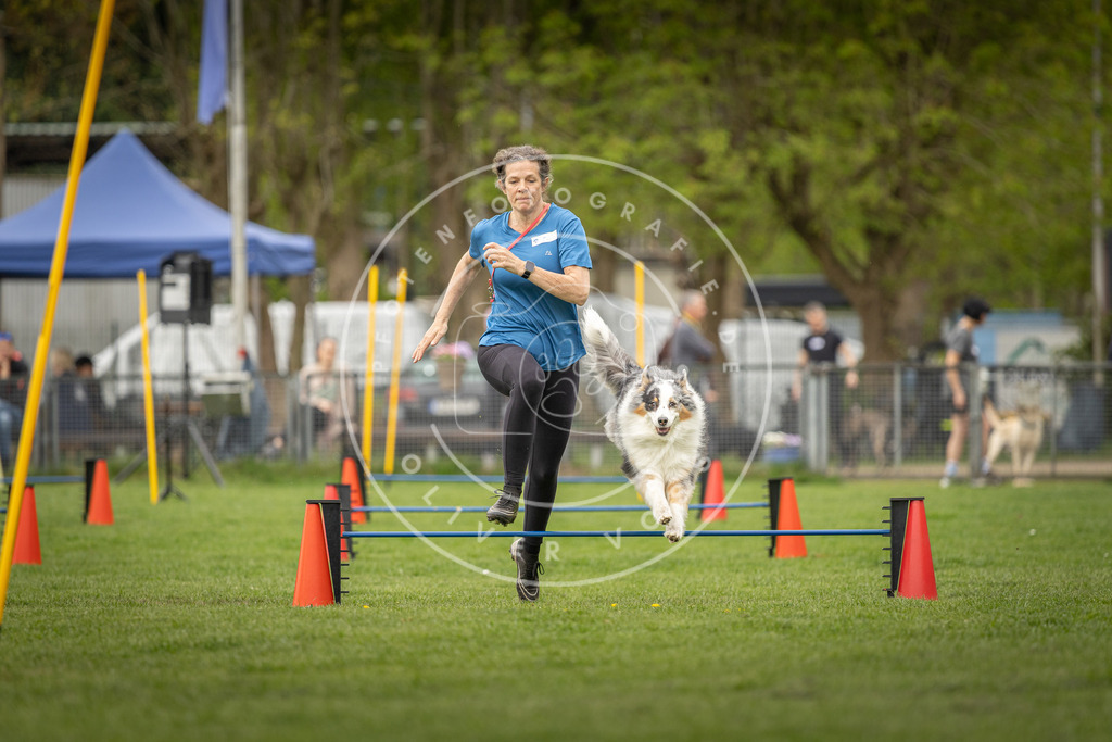 Pfotenfotografie_DV3A8579 | Hundefotografie, Tierfotograf, Pfotenfotografie, Fotoshooting Hund, Hunde Portrait, Hundesport, Hundeportraits, Heideshooting, Hunde, Sportfotograf, Hundefotograf, Turnierhundsport, THS,  - Realisiert mit Pictrs.com