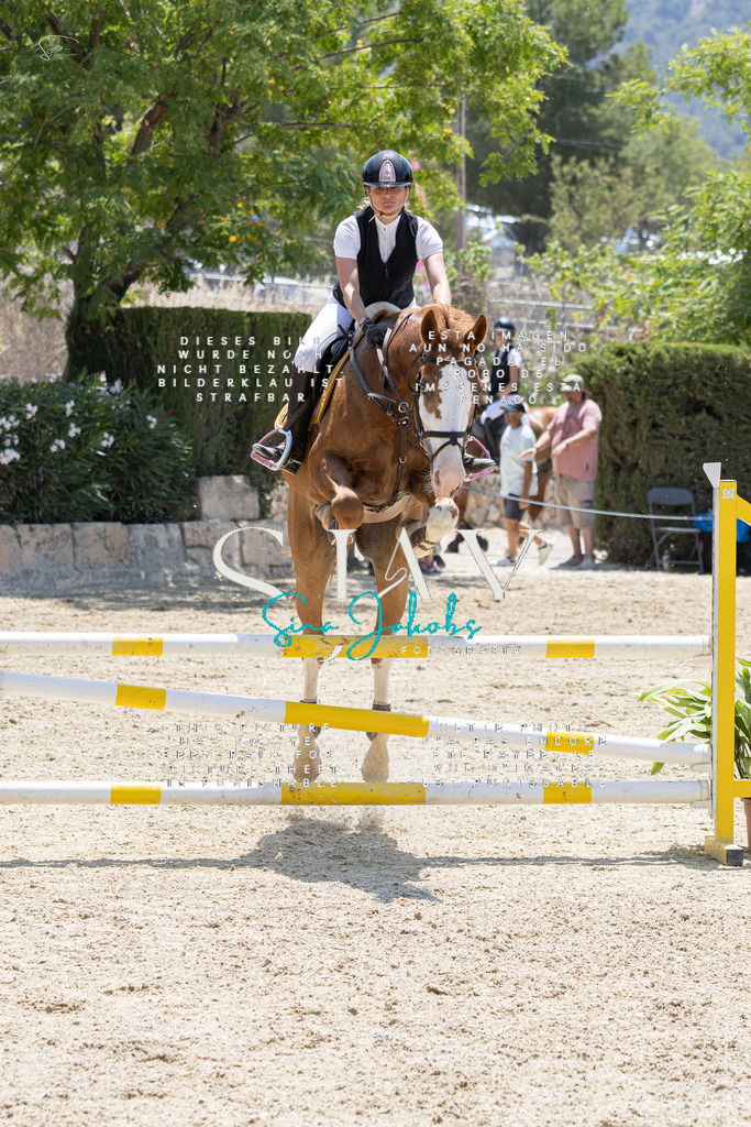 IMG_1537 | s-jay-photography - Realisiert mit Pictrs.com