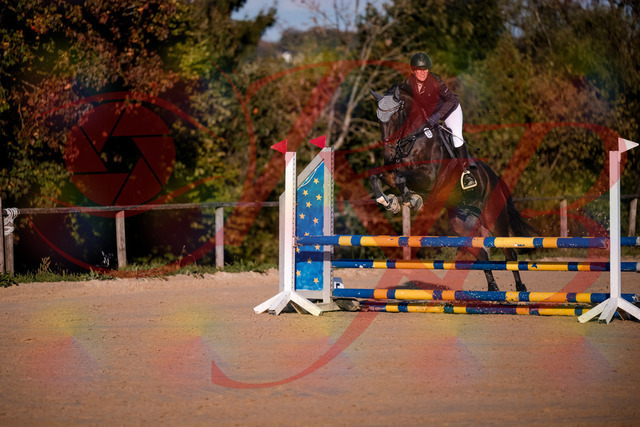 2026_10_03_Siefer-Hof_171914_Z81_17318671 | Professionelle Reitsport-, Turnier- und Eventfotografie von Robert Broda. Galerien mit ausgewählten und bearbeiteten Bildern direkt online ansehen und bestellen.