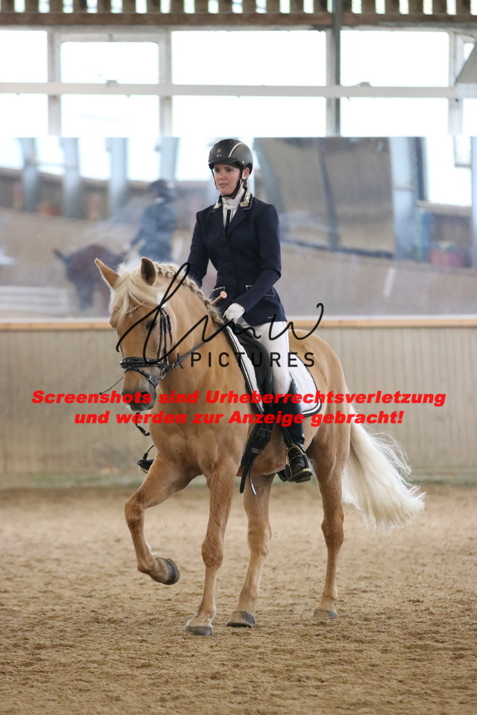 IMG_6679 | lmwpictures - Realisiert mit Pictrs.com