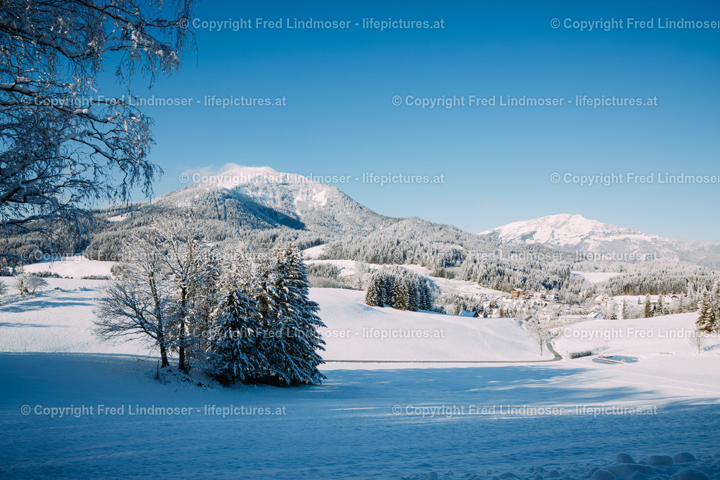 Winterlandschaft Mariazellerland 11122020-0139 | Fotos und Fotoprodukte - Realisiert mit Pictrs.com