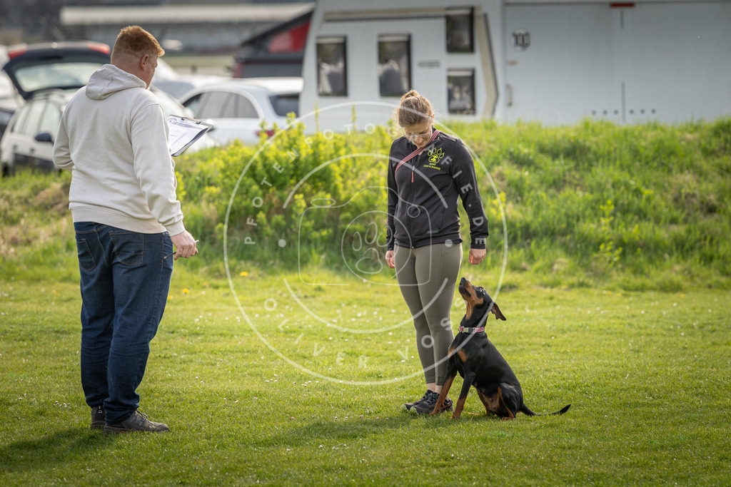 Pfotenfotografie_DV3A5000 | Hundefotografie, Tierfotograf, Pfotenfotografie, Fotoshooting Hund, Hunde Portrait, Hundesport, Hundeportraits, Heideshooting, Hunde, Sportfotograf, Hundefotograf, Turnierhundsport, THS,  - Realisiert mit Pictrs.com
