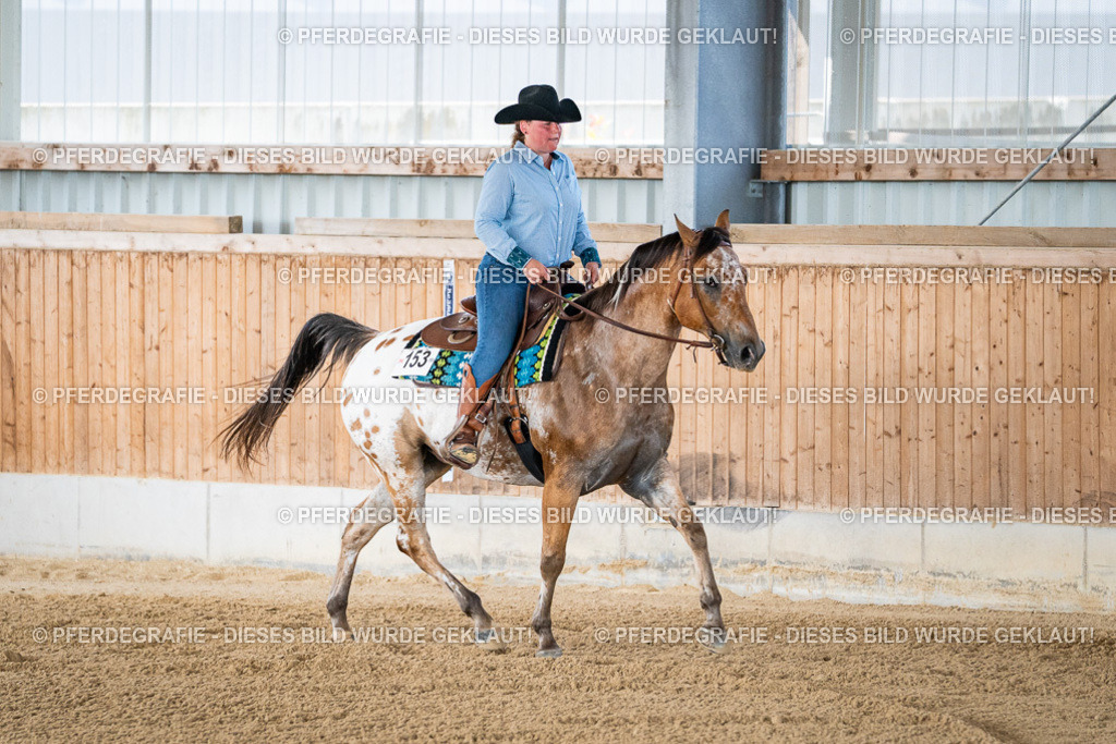 DSC02076 | Pferdegrafie