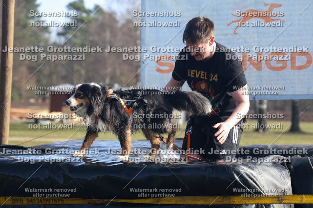 Dog Paparazzi - Strongdog North Mrz26-1165 | Dog Paparazzi Jeanette Grottendiek Fotografie & Videografie - Realisiert mit Pictrs.com