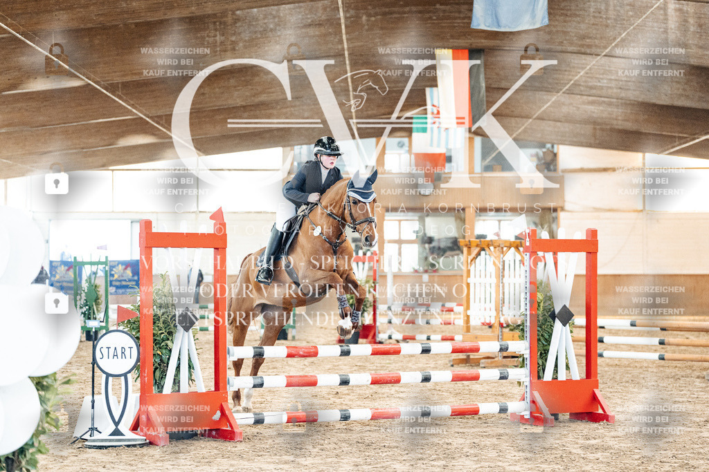 CK903731 | Turnierfotografie Pferdefotografie Trier Rheinland-Pfalz Pferdesport Reitsport Tierfotografie Sportfotografie Pferdevideo Pferdevideografie Equestrianvideography equestrianphotography  - Realized with Pictrs.com