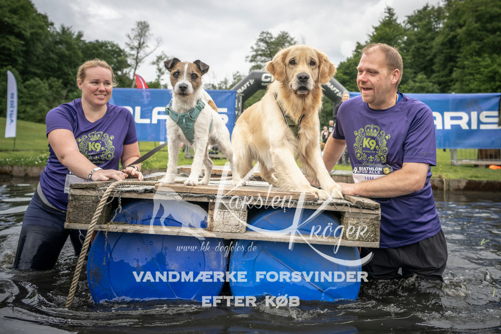 1005_ZZ94177 | kk-dogfotos