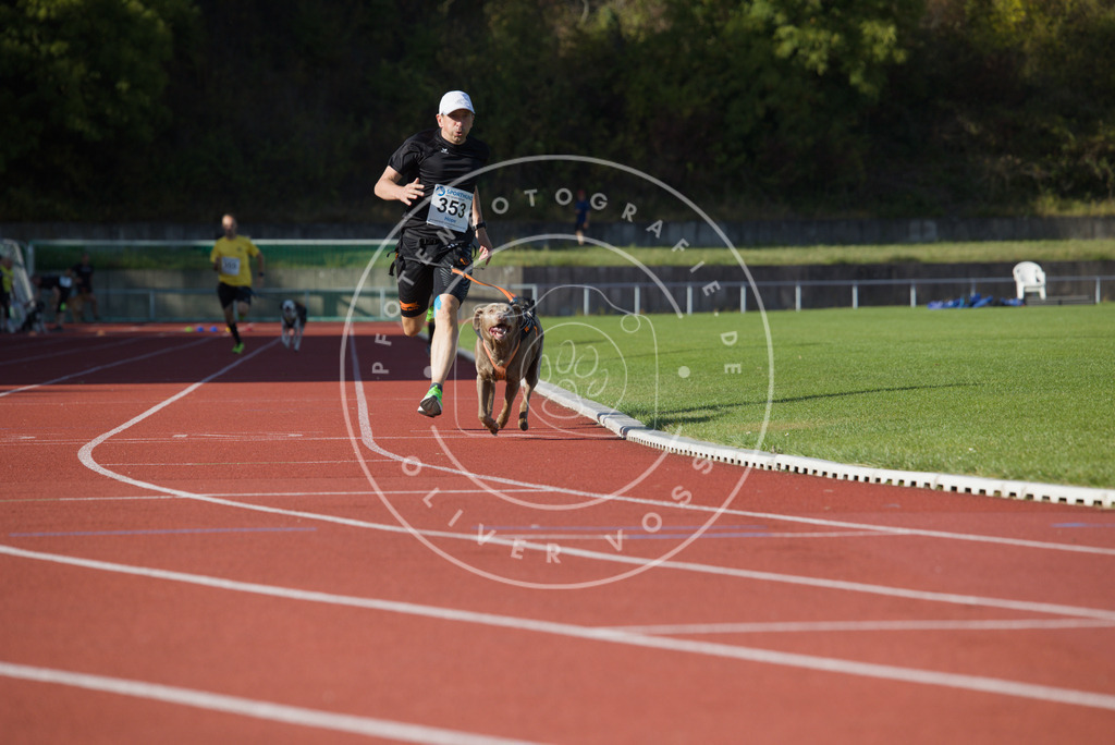 0L8A0131 | Hundefotografie, Tierfotograf, Pfotenfotografie, Fotoshooting Hund, Hunde Portrait, Hundesport, Hundeportraits, Heideshooting, Hunde, Sportfotograf, Hundefotograf, Turnierhundsport, THS,  - Realisiert mit Pictrs.com
