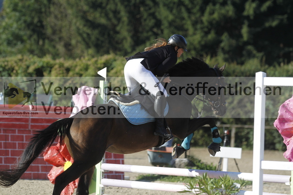 _MG_3867 | equestrian-live-com