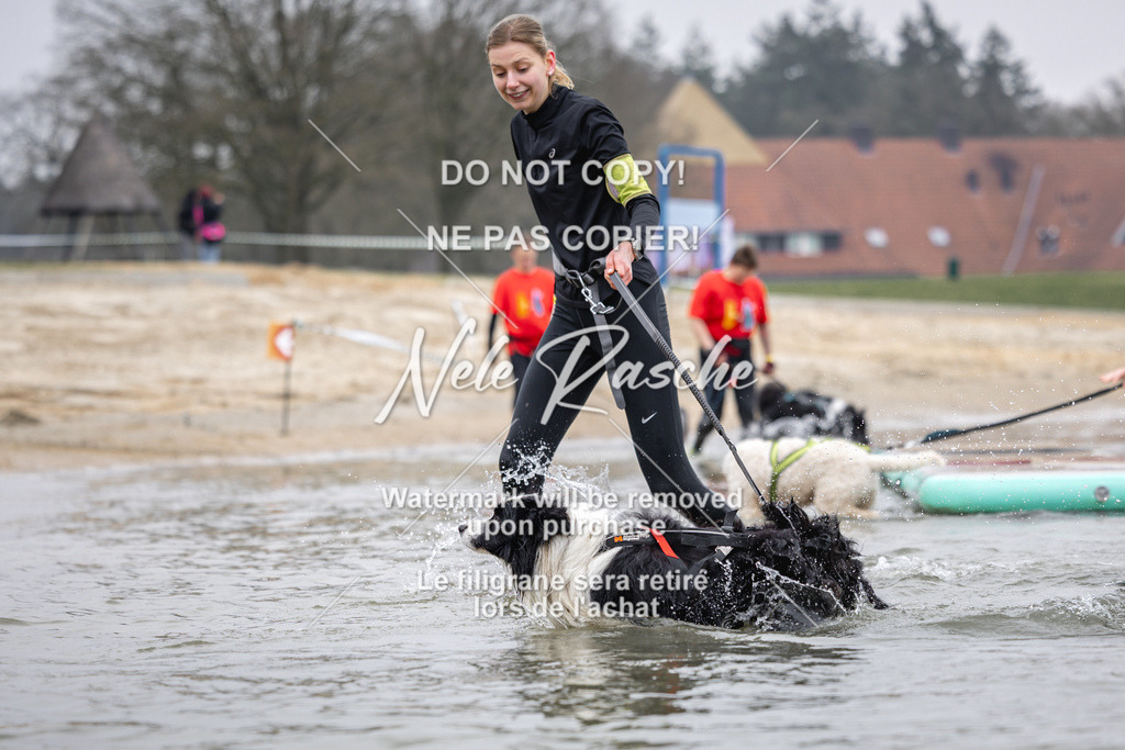 nelerasche_Hulsbeek_Sa1130-1230_65 | nelerasche