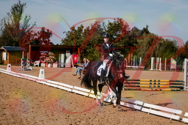 2026_10_03_Siefer-Hof_121654_Z63_40506306 | Professionelle Reitsport-, Turnier- und Eventfotografie von Robert Broda. Galerien mit ausgewählten und bearbeiteten Bildern direkt online ansehen und bestellen.