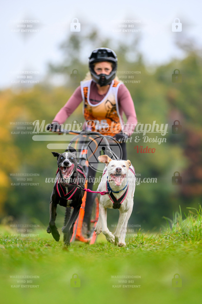 MompixPhotography_CDLBDB2025_DI_DS-25 | PayLife