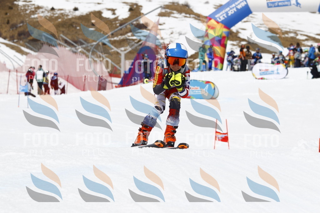 _U3G8041 | holidayphoto