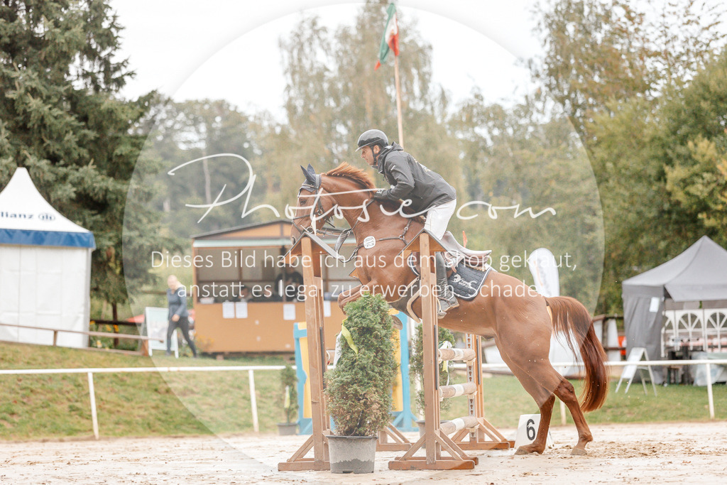 3I6A5484 | Stimmungsvolle Portraits und Reitsportfotografie im Ruhrgebiet und im Münsterland.

Pferdefotografie, Hundefotografie, Tierfotografie, Reportagen, Portraits von Tier und Mensch, Turnierfotografie in Bochum, Recklinghausen, Marl, Haltern am See, Dülmen.. - Realisiert mit Pictrs.com
