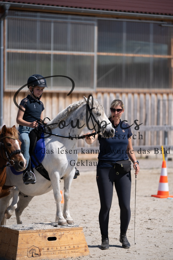 A7V01797 | Pferdefotograf