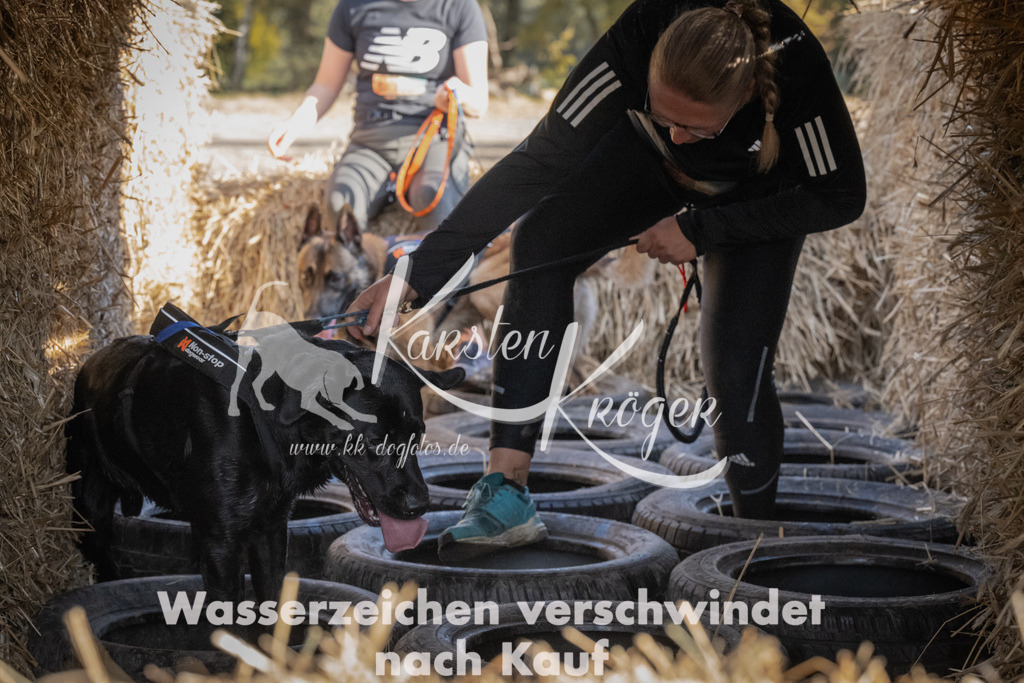 1125_ZZ91682 | kk-dogfotos