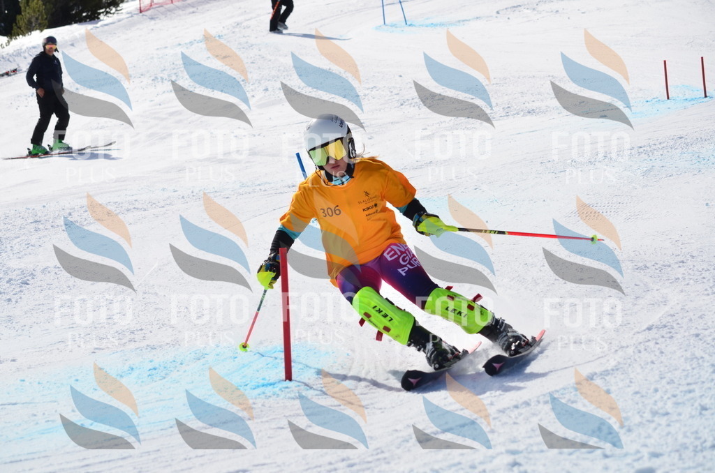 C9493 | holidayphoto