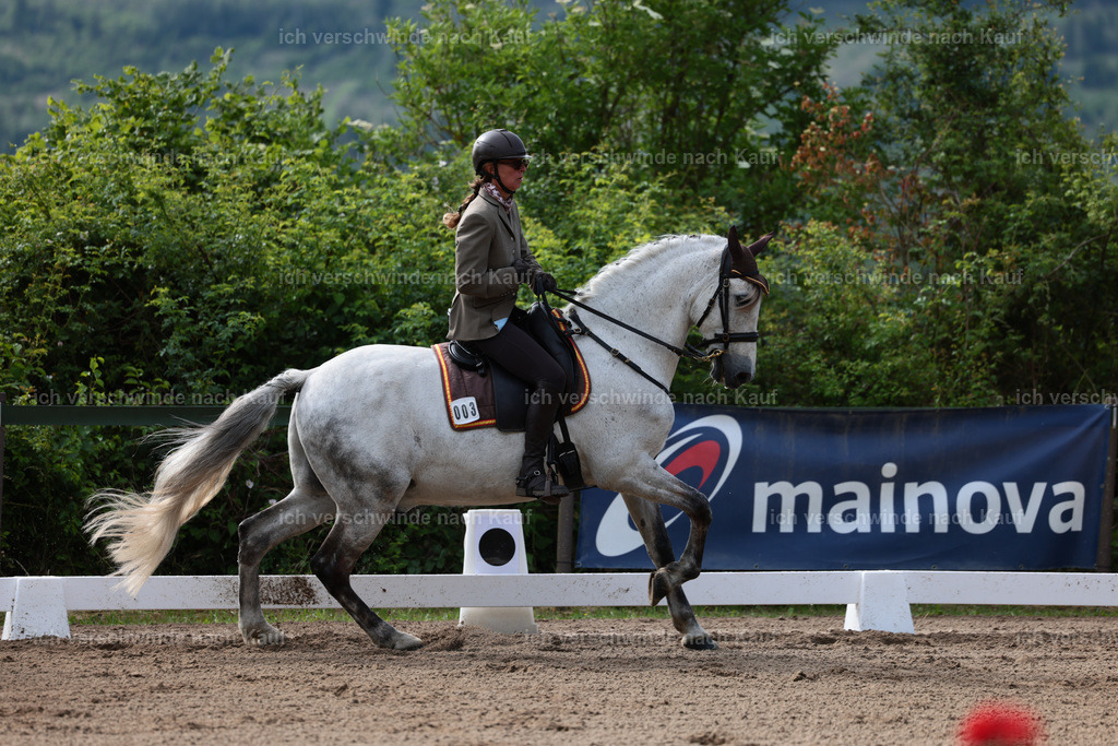 Masterclass_stoibphotography_C2_L4662.JPG | working equitationturnier fotograf videograf stoibphotography marixx film working equitation deutschland reitsport turnierfotografie eventfotografie equestrian events