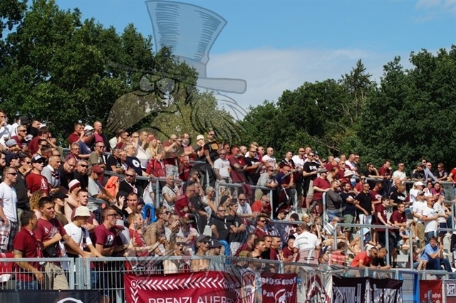 TSG Neustrelitz vs. BFC Dynamo 067 | mythos-online-redaktion