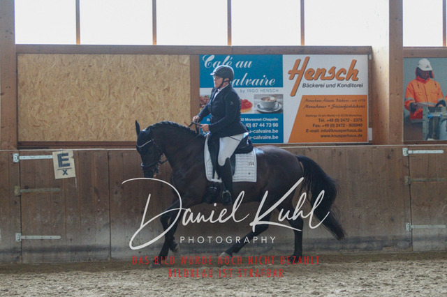 DKP44431 | Turniersportfotografie; Pferdefotografie; Dressurfotografie