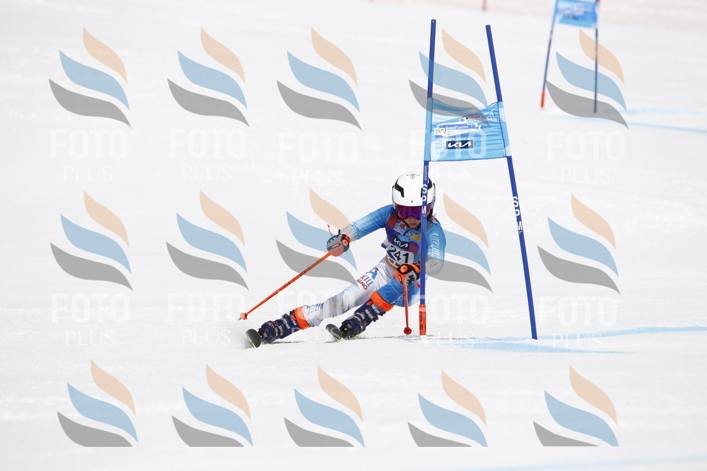 _U3G6117 | holidayphoto