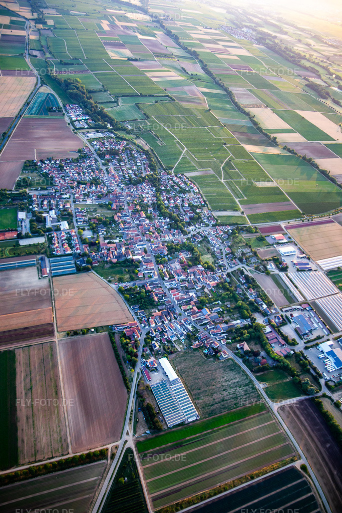 Luftbild: Ortsansicht von Osten in Weingarten im Bundesland Rheinland-Pfalz in Deutschland. Foto: IMG_137260.jpg vom 24.06.2023 durch Werner Riehm/FLY-FOTO.de