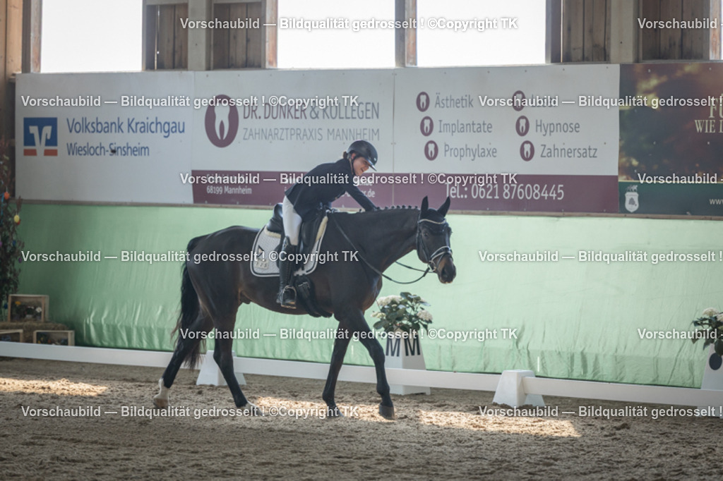 _D5A8513 | Emotionale Pferde- & People-Fotografie rund um Heidelberg, Leimen & Umgebung. Natürliche Fotos von Pferd, Mensch & Familie. Jetzt Termin sichern!