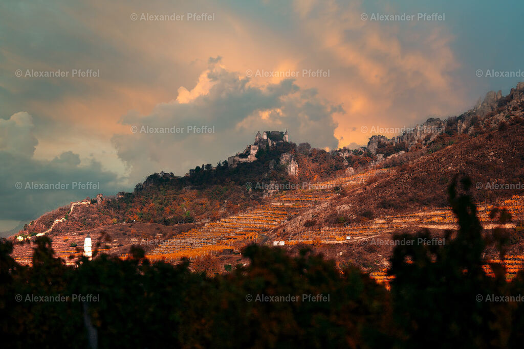 foto_c_pfeffel-partner-0111-R52_0424-Bearbeitet-2 | alexander-pfeffel - Realisiert mit Pictrs.com