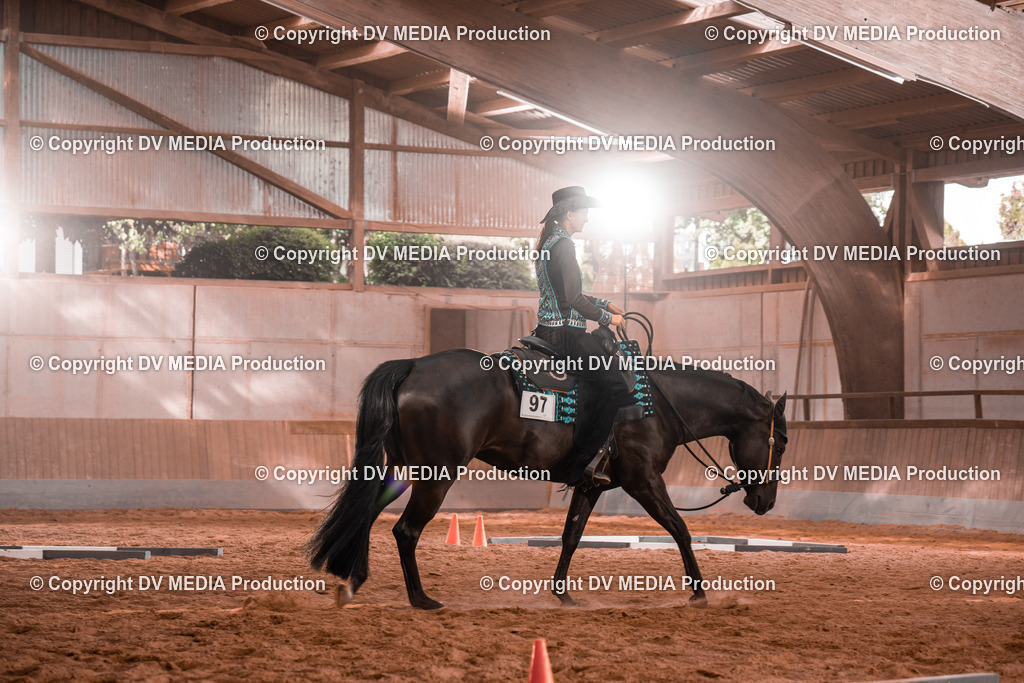 NE200167 | dv-media-shop - Realisiert mit Pictrs.com