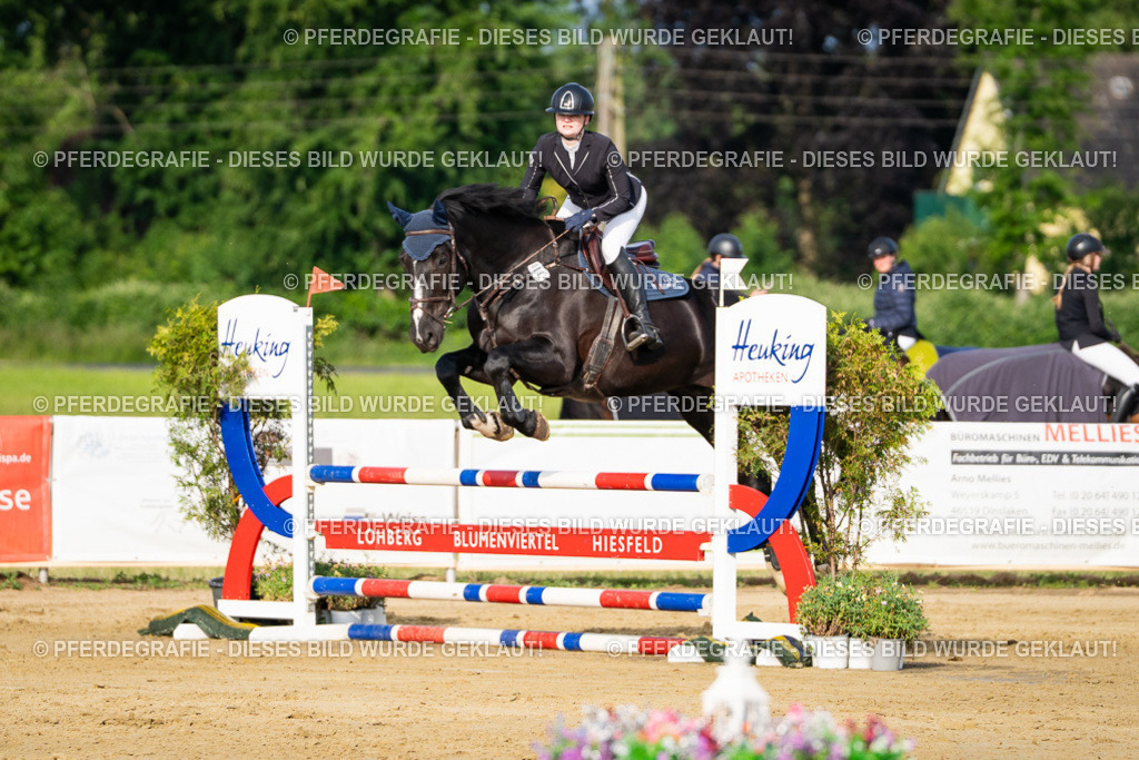 DSC02819 | Pferdegrafie