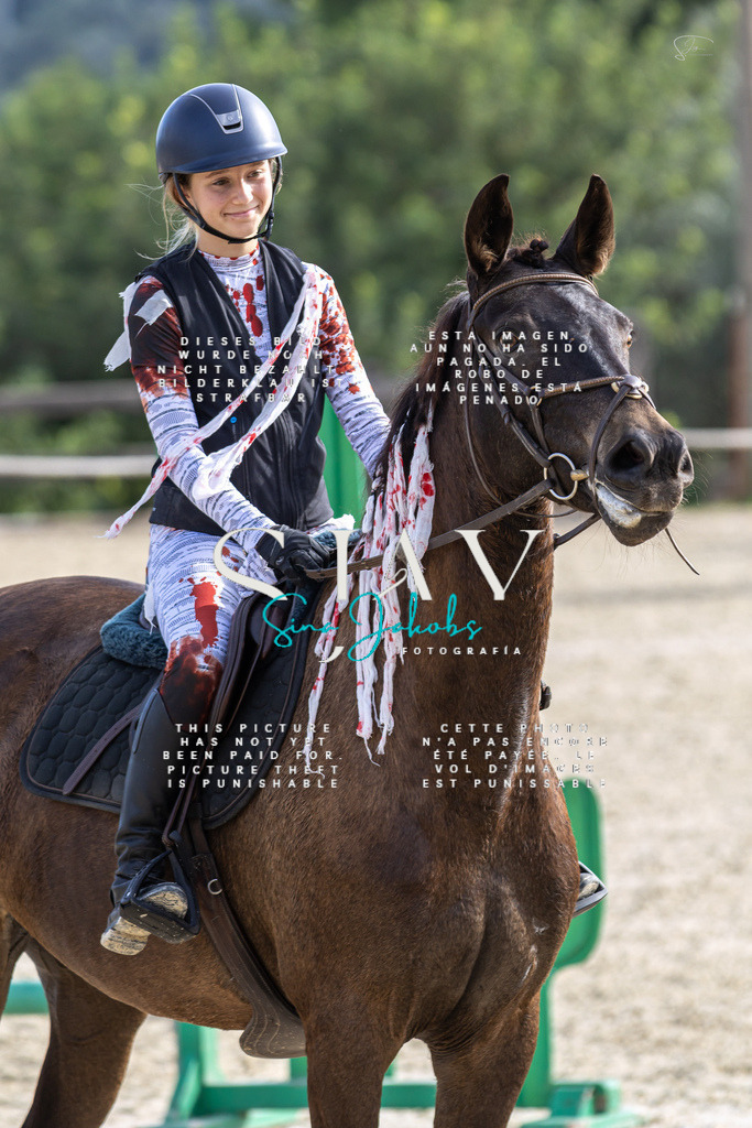 IMG_3934 | s-jay-photography - Realisiert mit Pictrs.com