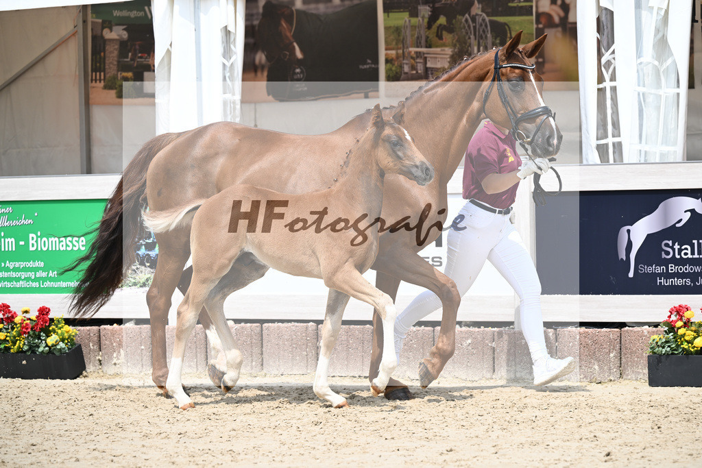 Don Olympic x Benetton Dream_HF_Groll_12250649 | hf-fotografie - Realisiert mit Pictrs.com