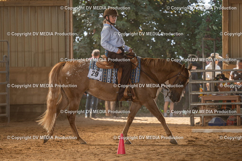 NID03046 | dv-media-shop - Realisiert mit Pictrs.com