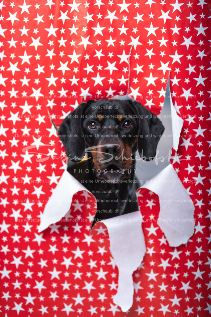 DSCF4409 | People- und Tierfotografie, Imageaufnahmen, Veranstaltungsfotografie und Wandbilder aus der Natur ★ Made in Germany ✔️ Druck + Downloads ✔️ Naturfotografie in Top Qualität ★ schneller Versand, weltweite Lieferung! - Realisiert mit Pictrs.com