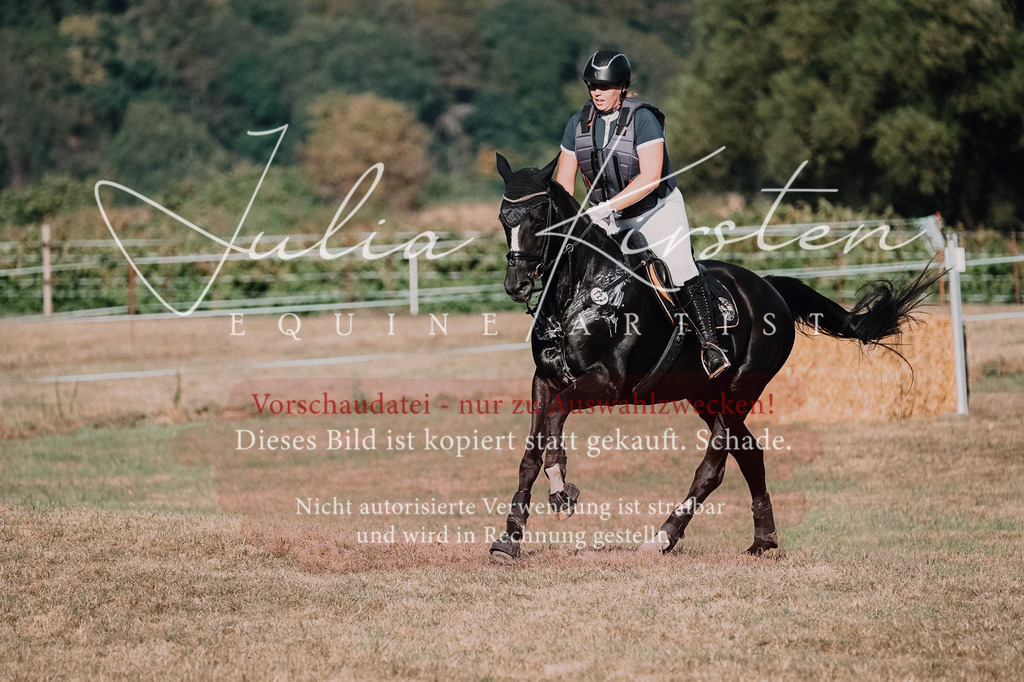 DSC_8946-2 | Pferde- und Turnierfotografie in Westsachsen. Pferdeportraits, Auftragszeichnungen und intuitive Kunst.