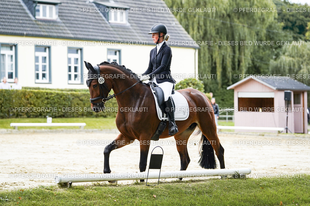 DSC06335 | Pferdegrafie